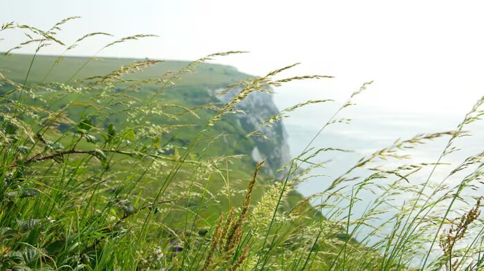 White Cliffs of Dover