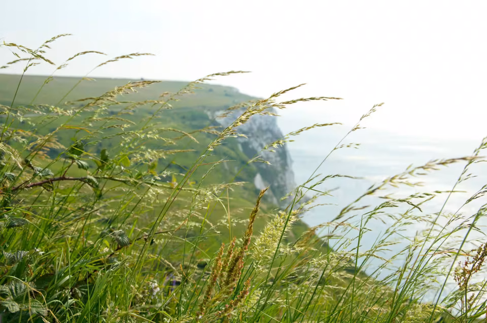 White Cliffs of Dover