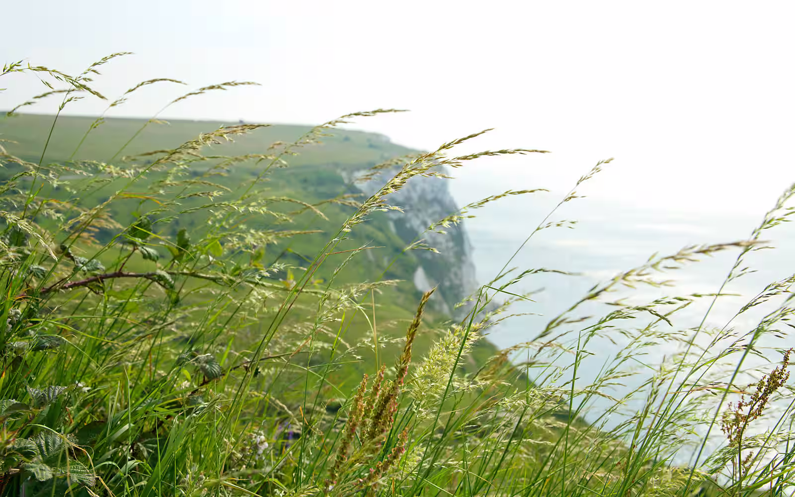 Cornwall und Devon [GB]