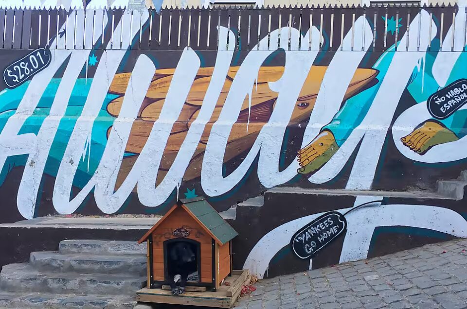 Gerade hier in Chile sind Graffiti viel mehr als nur Schmierereien, sie sind eher Ausdruck politischer Diskussion.