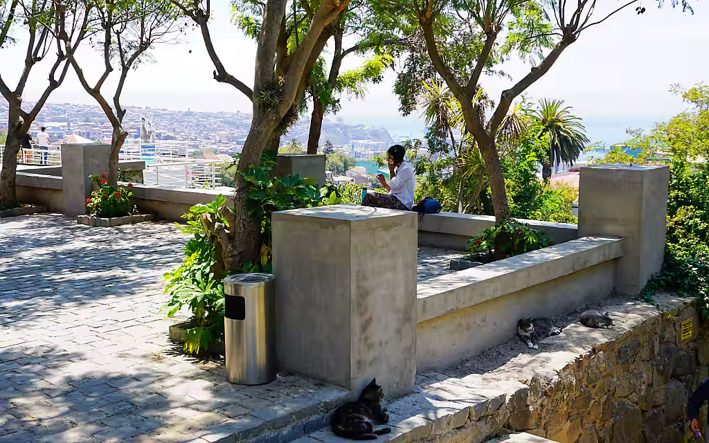 Auf der Terrasse der Villa des berühmten chilenischen Dichters und Nobelpreisträgers Pablo Neruda dösen Katzen im Schatten