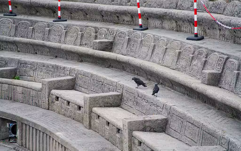 Und wenn gerade mal nicht gespielt wird, dann machen es sich die Raben gemütlich auf den "Kuschelbänken"