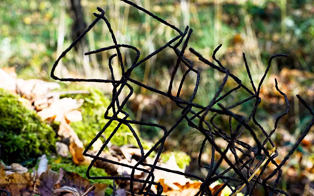 Überreste des Zauns am Lager Buchenwald